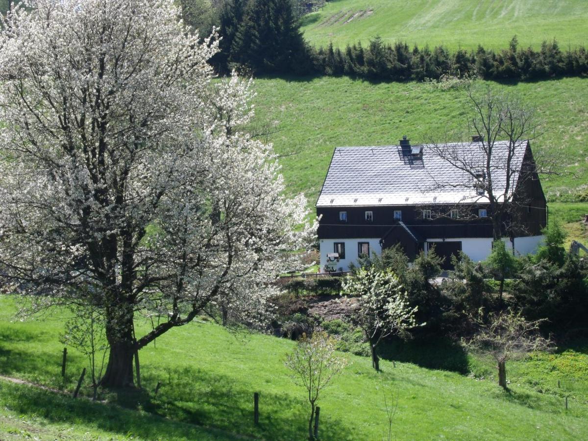 Lejlighed Haus Talruhe Altenberg