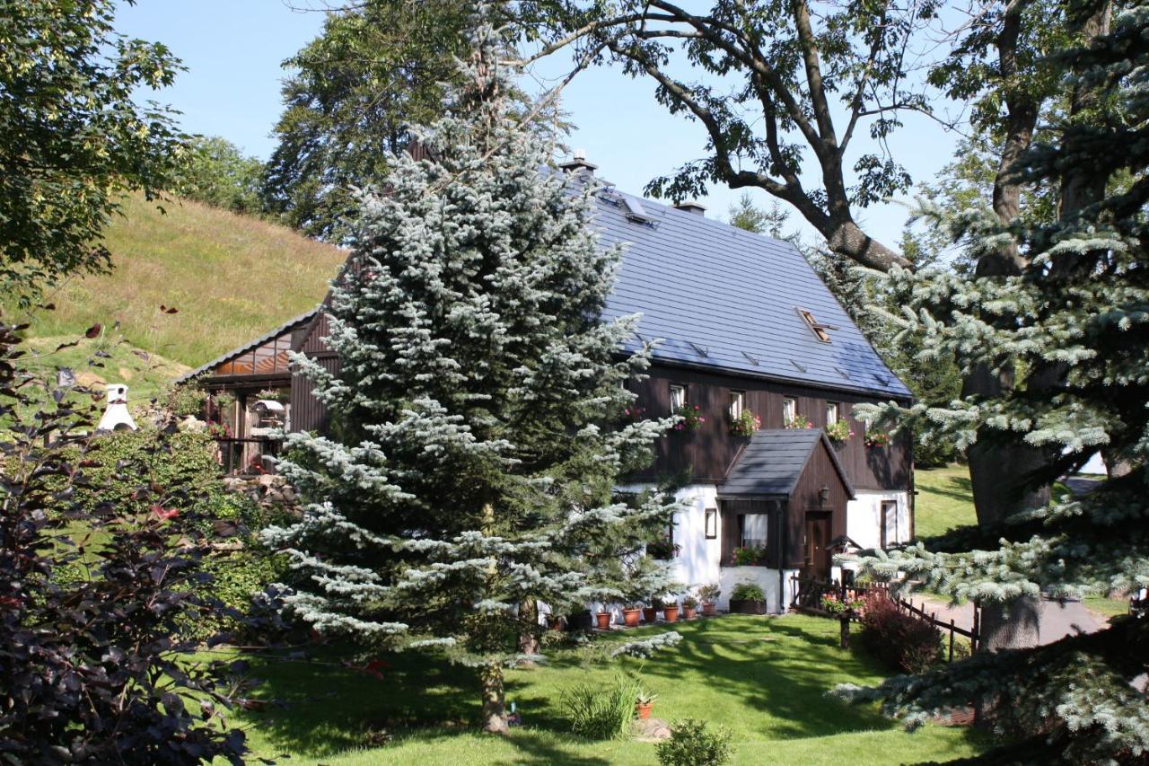 Appartement Haus Talruhe Altenberg (Monts-Métallifères)